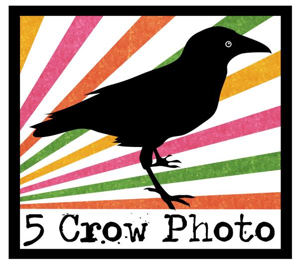 5 Crow Photo